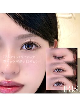イリス 博多キャナルシティ店(IRIS.)/led flatlash[フラットラッシュ]