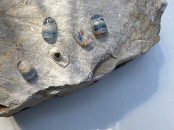 ファンクションネイルズ 表参道 原宿(FUNCTION NAILS)/ニュアンス/クリア