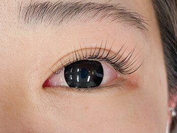 ルコル(Lecoeur)/パリジェンヌラッシュリフト