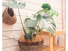 ソルーブ 広尾店/完全貸切のプライベートサロン