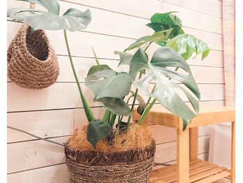 ソルーブ 広尾店/完全貸切のプライベートサロン