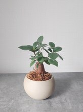 ブルーム(Bluem)&nbsp;三雲 