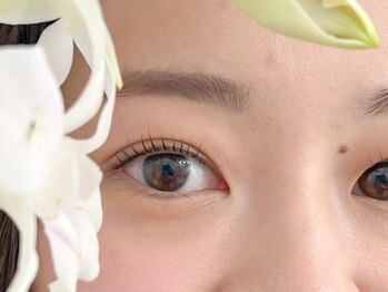 ビメ 中央林間(BEME)/人気★【眉×まつ毛パーマ】