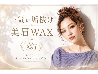 レディ(Lady)の写真