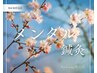 メンタル鍼灸