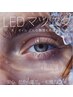 【NEW】LEDフラットラッシュ100本 ¥5800