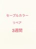 ３週間以内【前回セーブルカラー付け放題で来店された方】　リペア　￥4400