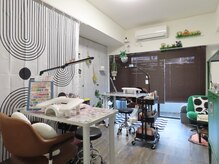 ジェリーフィッシュ(jelly fish)