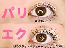 チック(chick)/パリエク