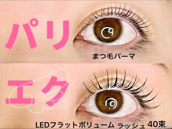 チック(chick)/パリエク