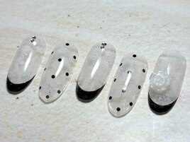 ジェルデザインプラス￥11,000