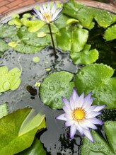 元気リラクゼーション&nbsp;き き