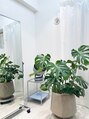 スタイルルリエ(styleRELIER)&nbsp;初めて育てる観葉植物♪毎日変化を見て育てるのが楽しい"