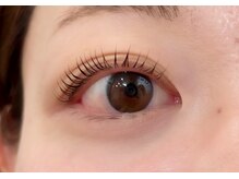 ペルシャ(Persian)/お客様デザイン(担当/長島）