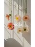 フラットラッシュ60本(アイシャンプー・スーパーロック込)￥5500→￥5000