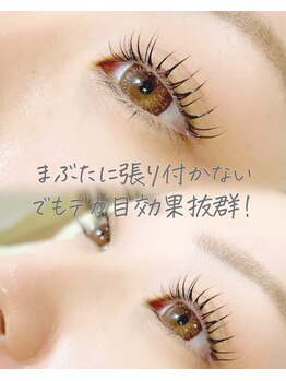 スワロウテイル(Swallowtail)/まつげパーマ/マツパ