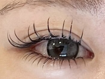 レーヴ 立川南口店(REVE)/上下まつエク★目力アップ！