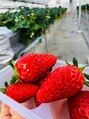 ハロー ハロー 長久手店&nbsp;いちご狩りに行きました♪
