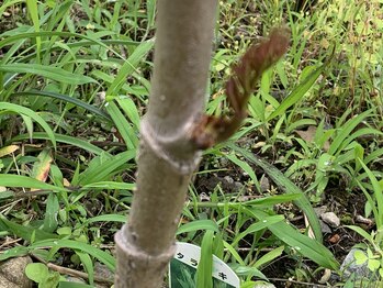 ここつ漢方薬店 二俣川院/～秋・冬用の野菜たち～