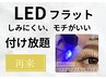 【LEDマツエク】フラットラッシュ付け放題　デザイン相談＋コーティング付