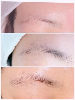 アイラッシュ リップル(Eyelash ripplu)/ブロウアディクトサロンケア