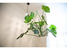 ポーラ スノーズ 浦和美園店(POLA SNOWs)/癒やし