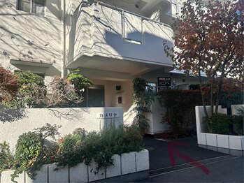 黄土漢方よもぎ蒸し シェービングサロン 朝と詩/自動扉の右手前のインターホンで