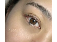 プティカラン(Petite Calin)/ぱっちり立ち上げ