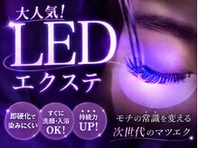 エル(Elle)の雰囲気(当店のマツエク/パリエクは全てLEDでの施術になります◎)