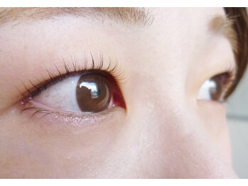 テイラー(Taylor)/1.まつげカール SONE