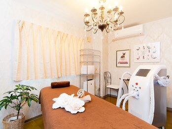 アムール(Amour)/隠れ家サロンの店内風景