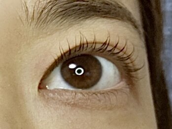 まつげエクステサロン クロエ(Chloe)/ラッシュリフトまるっとカール