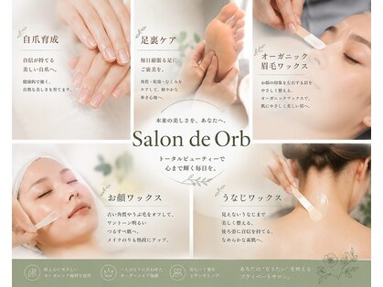 スリーピーオーブ(Sleepy Orb)の写真