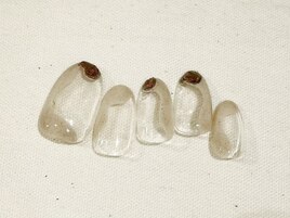 ★選べる定額￥ 5980