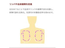 バストサロン メルベイユ(Merveile)/仕組み 4