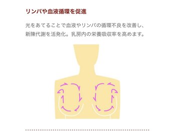 バストサロン メルベイユ(Merveile)/仕組み 4