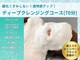 アマテ(Amate)の写真
