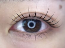 ケイラッシュ(K-LASH)/ラッシュリフト立ち上げデザイン