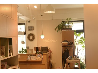 リトルツリー(little tree)の写真