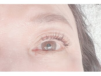 シャノワール(Chat Noir)/130本フラットラッシュ