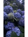 オーク 戸塚(OAK)&nbsp;お花すきです♪