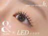 【最新技術★口コミ投稿で限定価格】LED120本×アンドヘルシー￥12,400