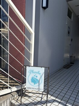 フィービー(Phoebe)/