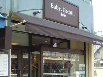ベビーブレス(Baby Breath)