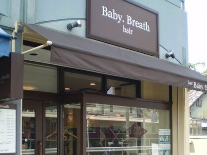 ベビーブレス(Baby Breath)の写真