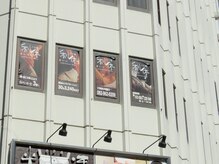 和美さび処 利休 八丁堀店/見上げればそこに・・・