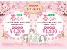 【春もみ75分】全身もみほぐし60分＋ヘッド15分　4800円