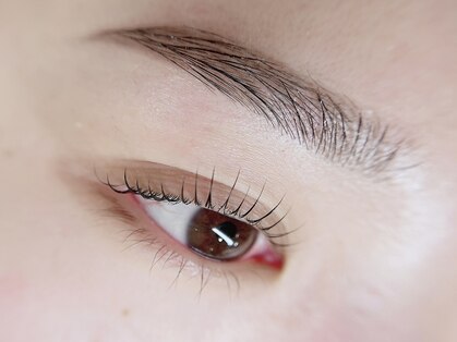 アイサプリメント(eye supplement)の写真