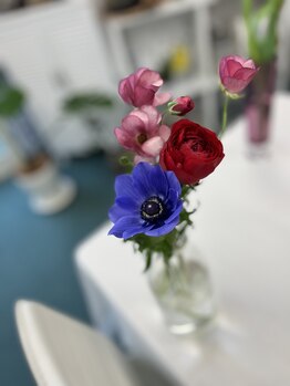 マシュマロハンド/よもぎ蒸し/冷え/むくみ改善