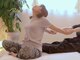 パーム 恵比寿(PALM)の写真